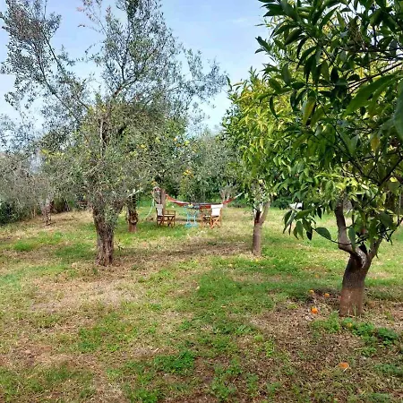 Citrus Tree Garden House Tatil Evi *