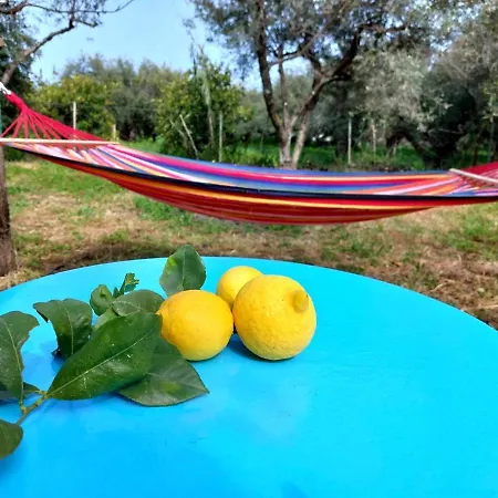 Citrus Tree Garden House Tatil Evi