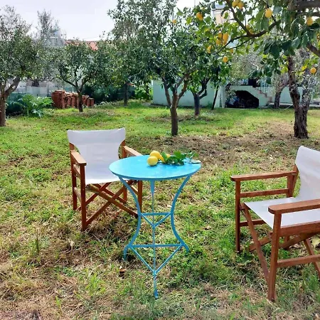 Citrus Tree Garden House Tatil Evi *