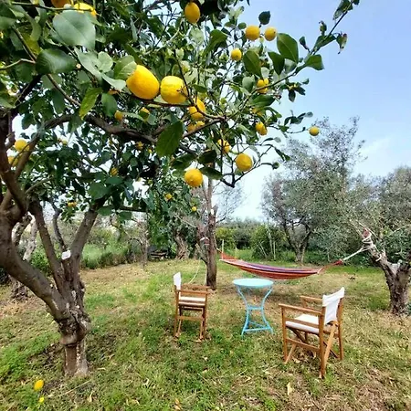 Citrus Tree Garden House * Kamisianá